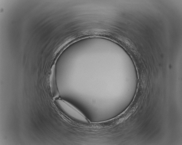 X0000083621073200703121622