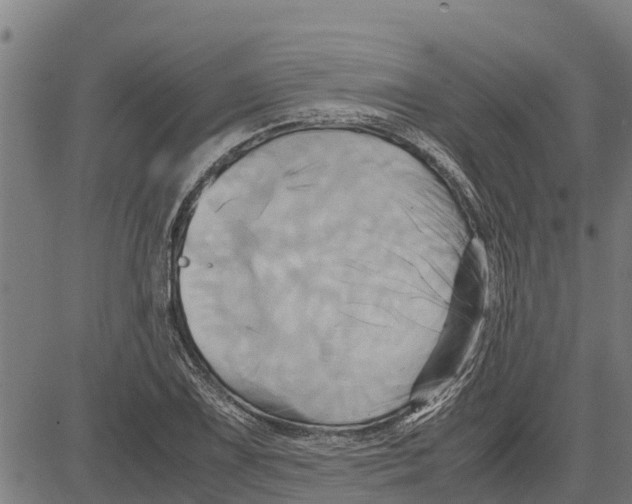 X0000083621075200703121622