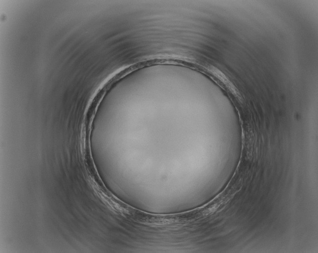 X0000083621076200703121622