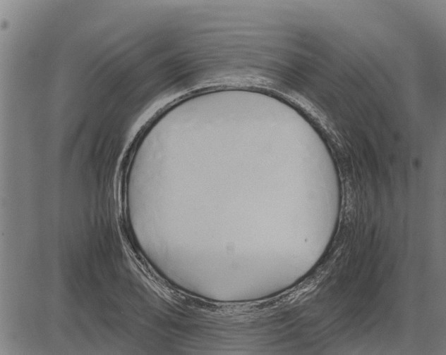 X0000083621078200703121622