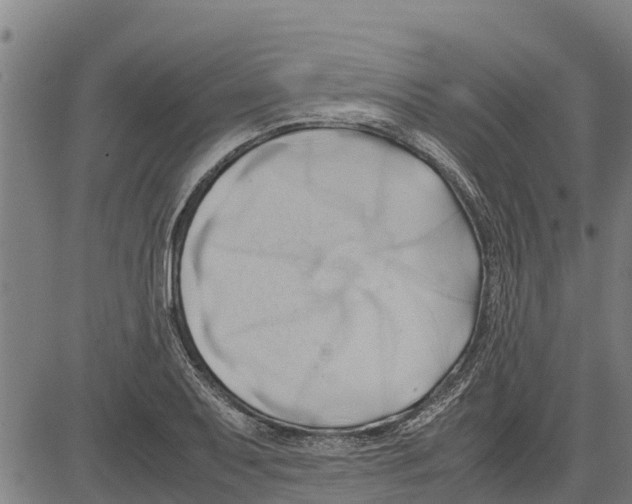 X0000083621079200703121622