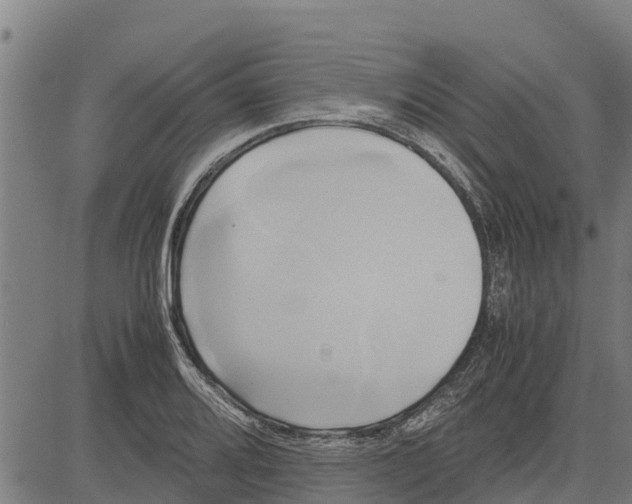 X0000083621080200703121622