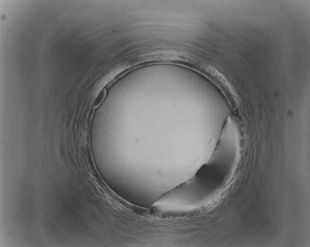 X0000083621081200703121622