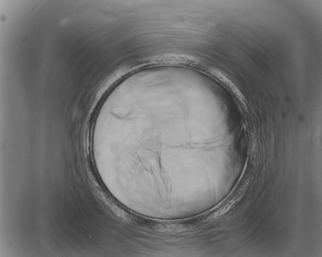 X0000083621083200703121622