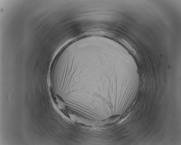 X0000083621084200703121622