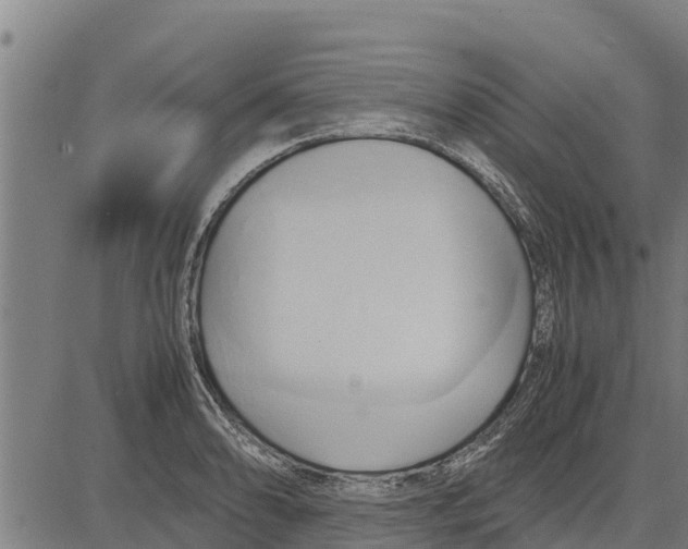 X0000083621086200703121622