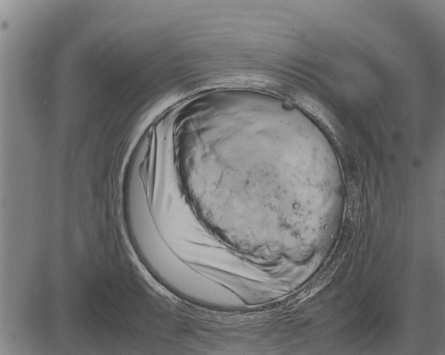 X0000083621087200703121622