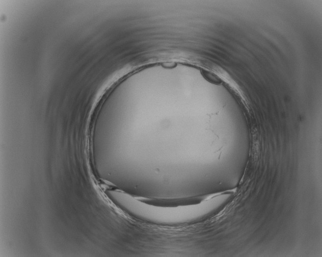 X0000083621088200703121622