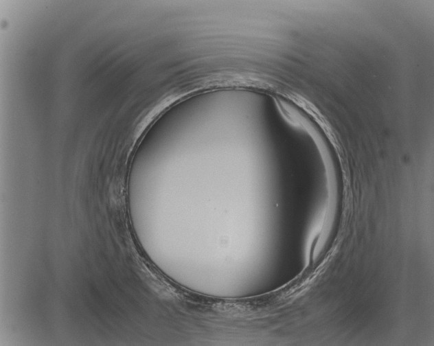 X0000083621089200703121622