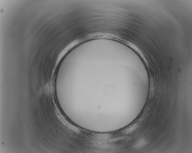 X0000083621090200703121622