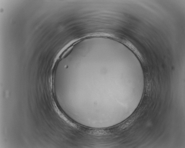 X0000083621092200703121622