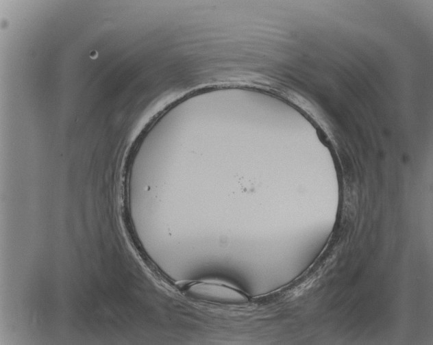 X0000083621093200703121622