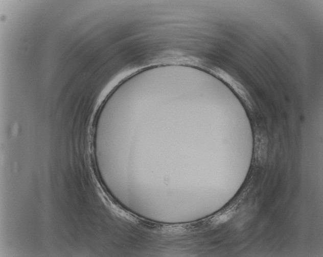 X0000083621094200703121622