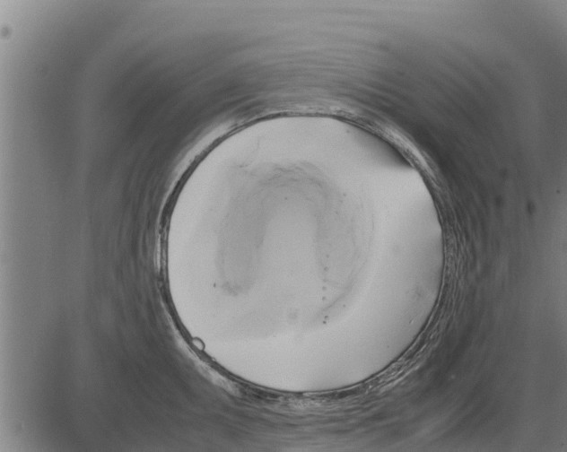 X0000083621095200703121622