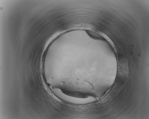 X0000083621096200703121622