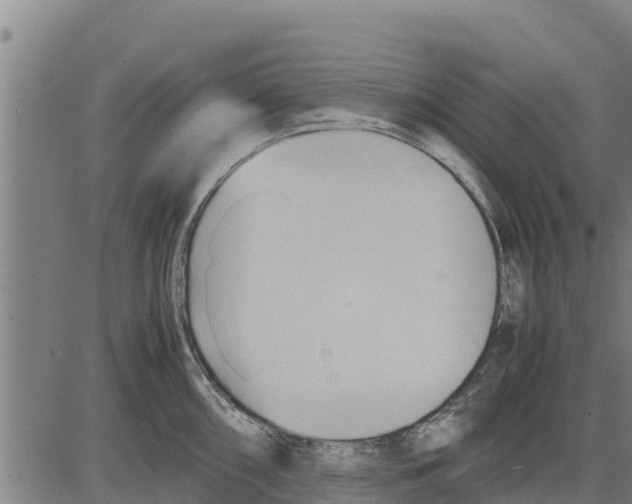 X0000083621098200703121622