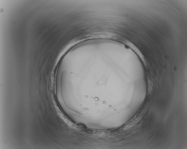 X0000083621099200703121622