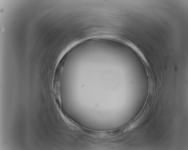 X0000083621101200703121622