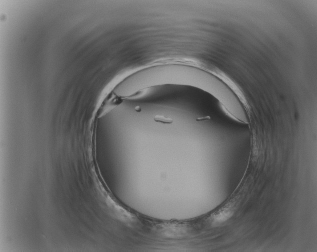 X0000083621102200703121622