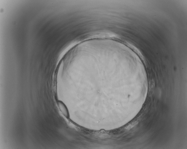 X0000083621103200703121622