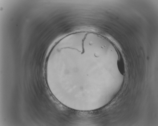 X0000083621104200703121622