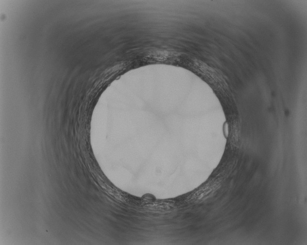 X0000083621105200703121621