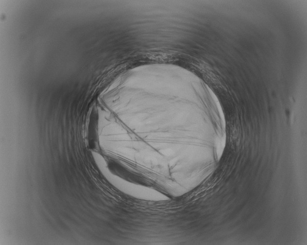 X0000083621106200703121621