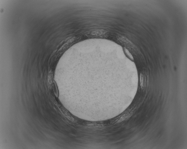 X0000083621107200703121621