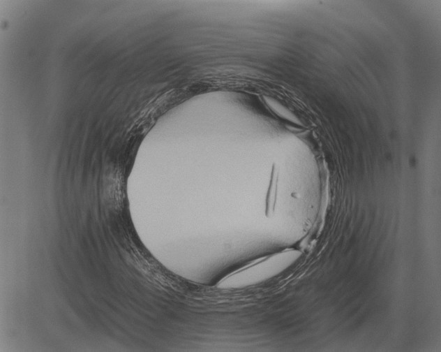 X0000083621108200703121621