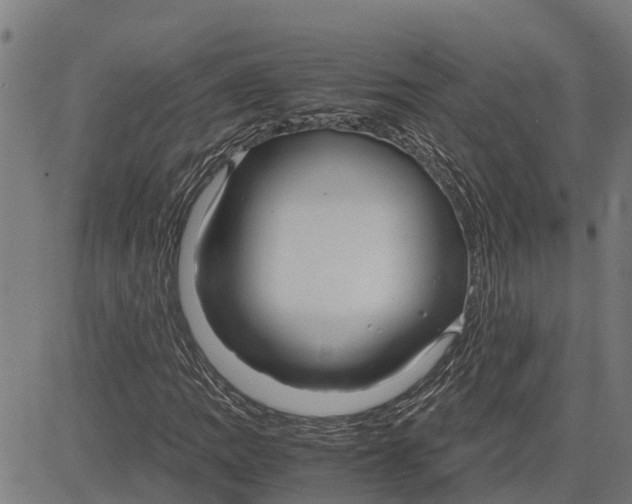 X0000083621109200703121621