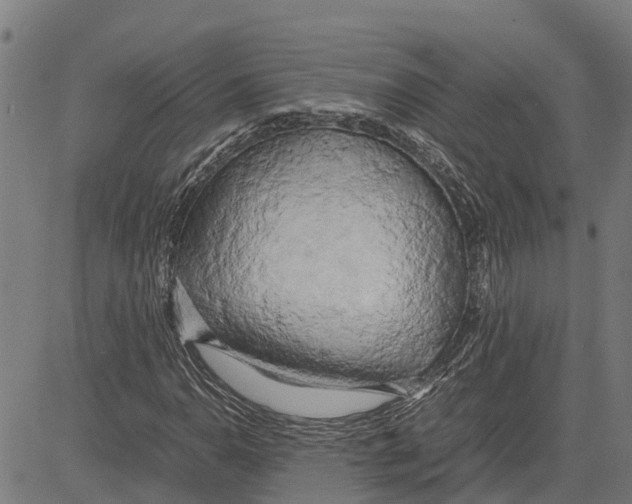 X0000083621110200703121621