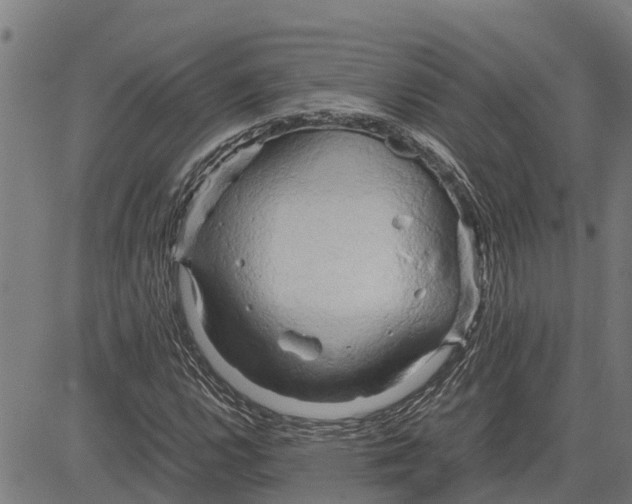 X0000083621112200703121621