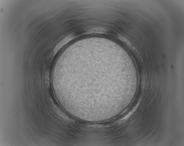 X0000083621113200703121621