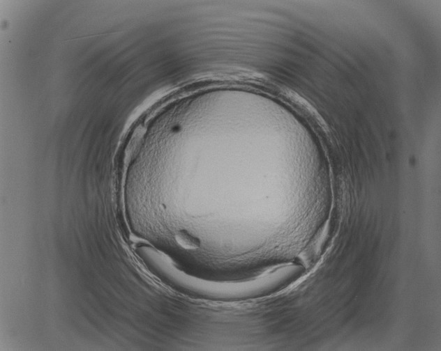 X0000083621114200703121621