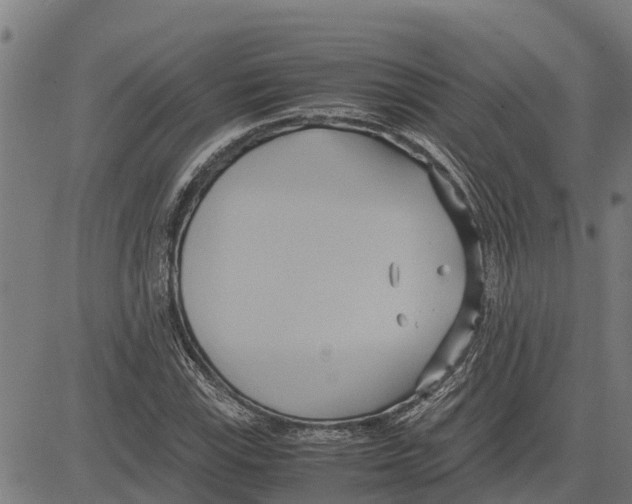 X0000083621115200703121621