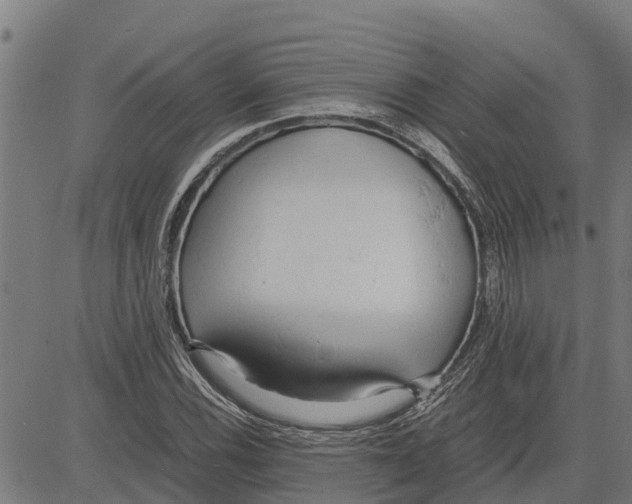 X0000083621116200703121621