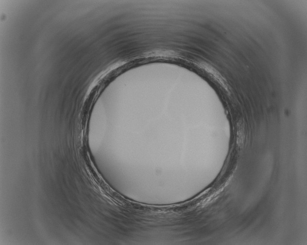 X0000083621117200703121621