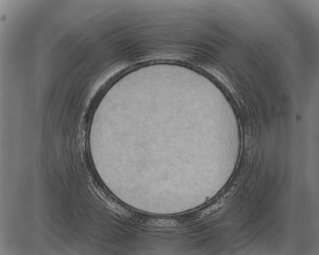 X0000083621119200703121621