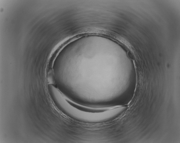 X0000083621120200703121621