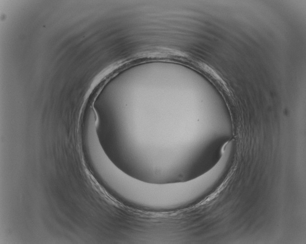 X0000083621122200703121621