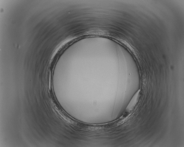 X0000083621123200703121621