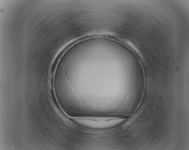 X0000083621124200703121621