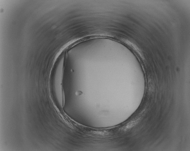 X0000083621125200703121621