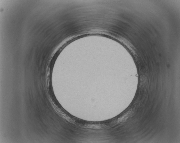 X0000083621126200703121621