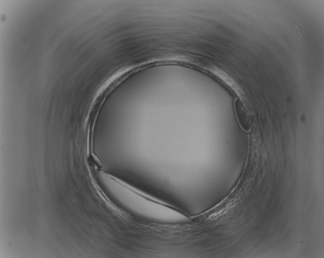 X0000083621127200703121621