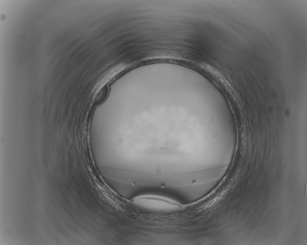 X0000083621129200703121621