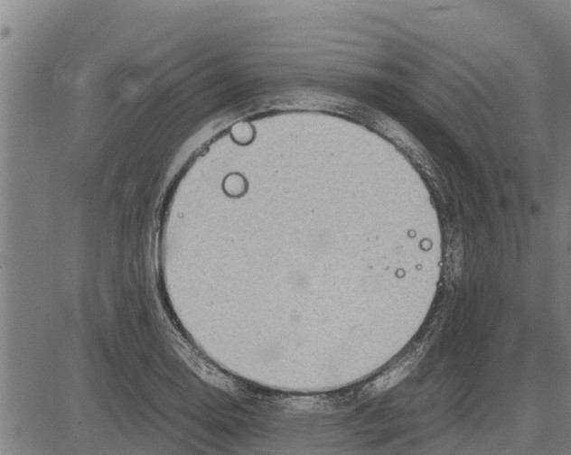 X0000083621130200703121621