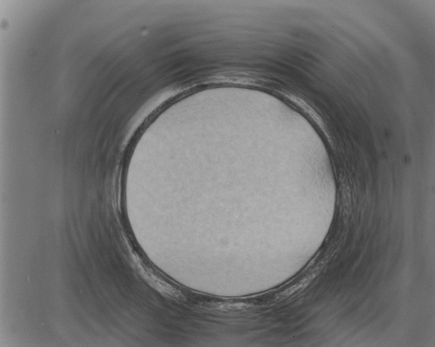 X0000083621131200703121621