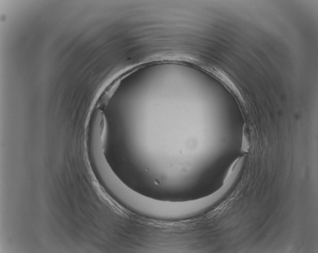 X0000083621132200703121621