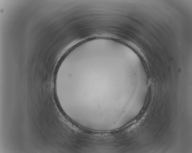 X0000083621133200703121621